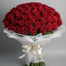 Букет 101 Красная роза Блэк Мэджик в Посёлок центральной усадьбы совхоза Мир