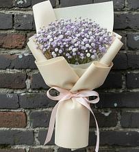 Букет цветов из:  Гипсофила в Посёлок центральной усадьбы совхоза Мир