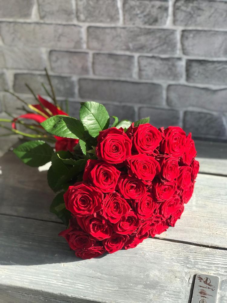 Букет Красные розы Фридом в Посёлок центральной усадьбы совхоза Мир