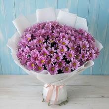 Букет цветов из:  Хризантемы #REPLACE_PRED# Посёлок центральной усадьбы совхоза Мир