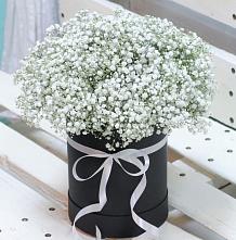Цветочная композиция из Гипсофила в шляпной коробке #REPLACE_PRED# Посёлок центральной усадьбы совхоза Мир