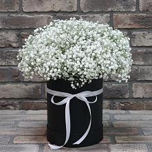 Цветочная композиция из Гипсофила в шляпной коробке в Посёлок центральной усадьбы совхоза Мир