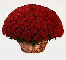 Премиум букет из: Розы в Посёлок центральной усадьбы совхоза Мир