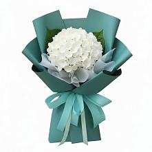 Букет цветов из:  Гортензия #REPLACE_PRED# Посёлок центральной усадьбы совхоза Мир